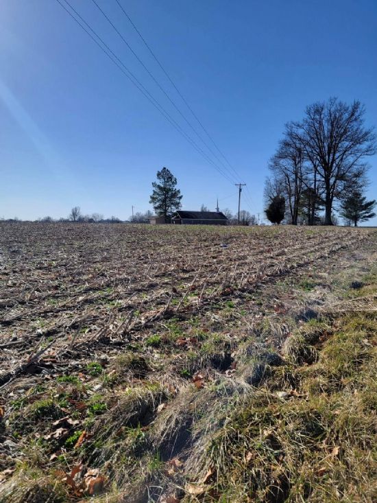 Kentucky Land Company